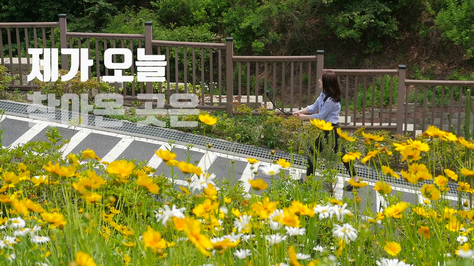 웅천 돌문화공원